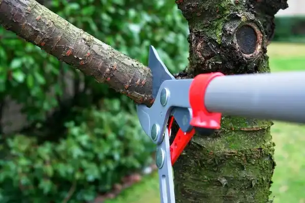 tree services Lockney